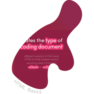 HTML Basics Doc Type